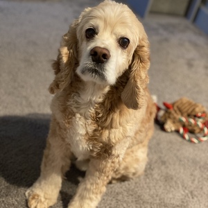 Fundraising Page: Maria Fernandes